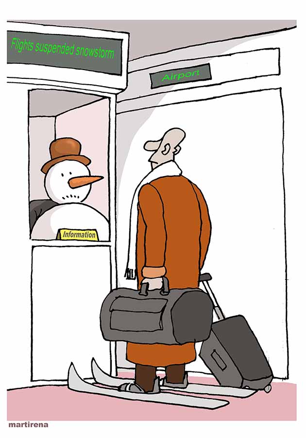 Flights suspended snowstorm